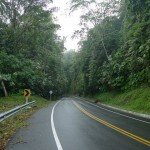 Wet jungle road.